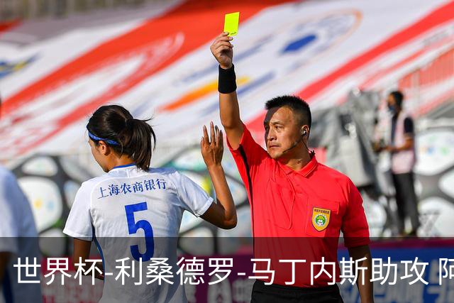 世界杯-利桑德罗-马丁内斯助攻 阿根廷半场暂1-0佛得角
